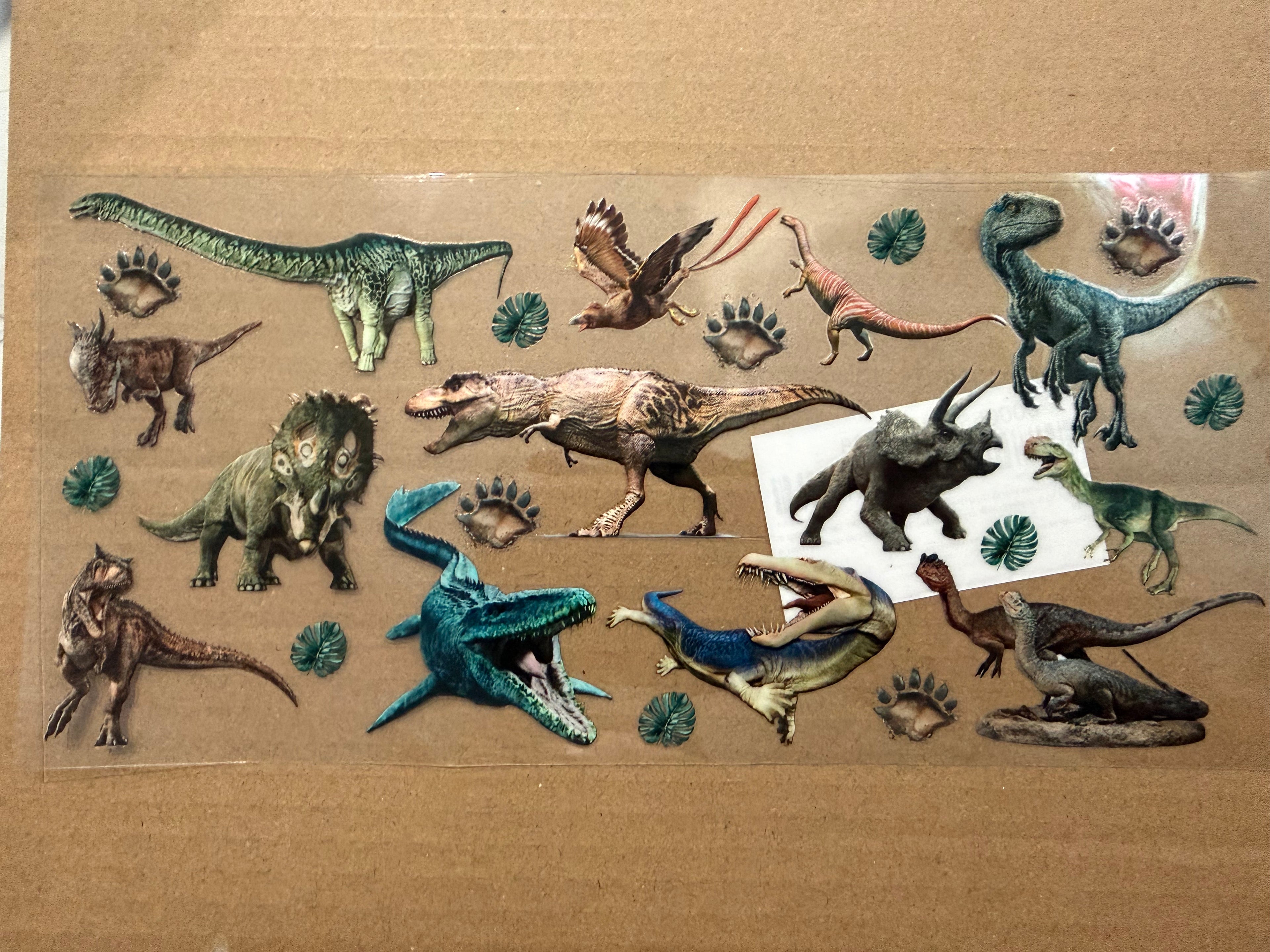Dinosaurs 5