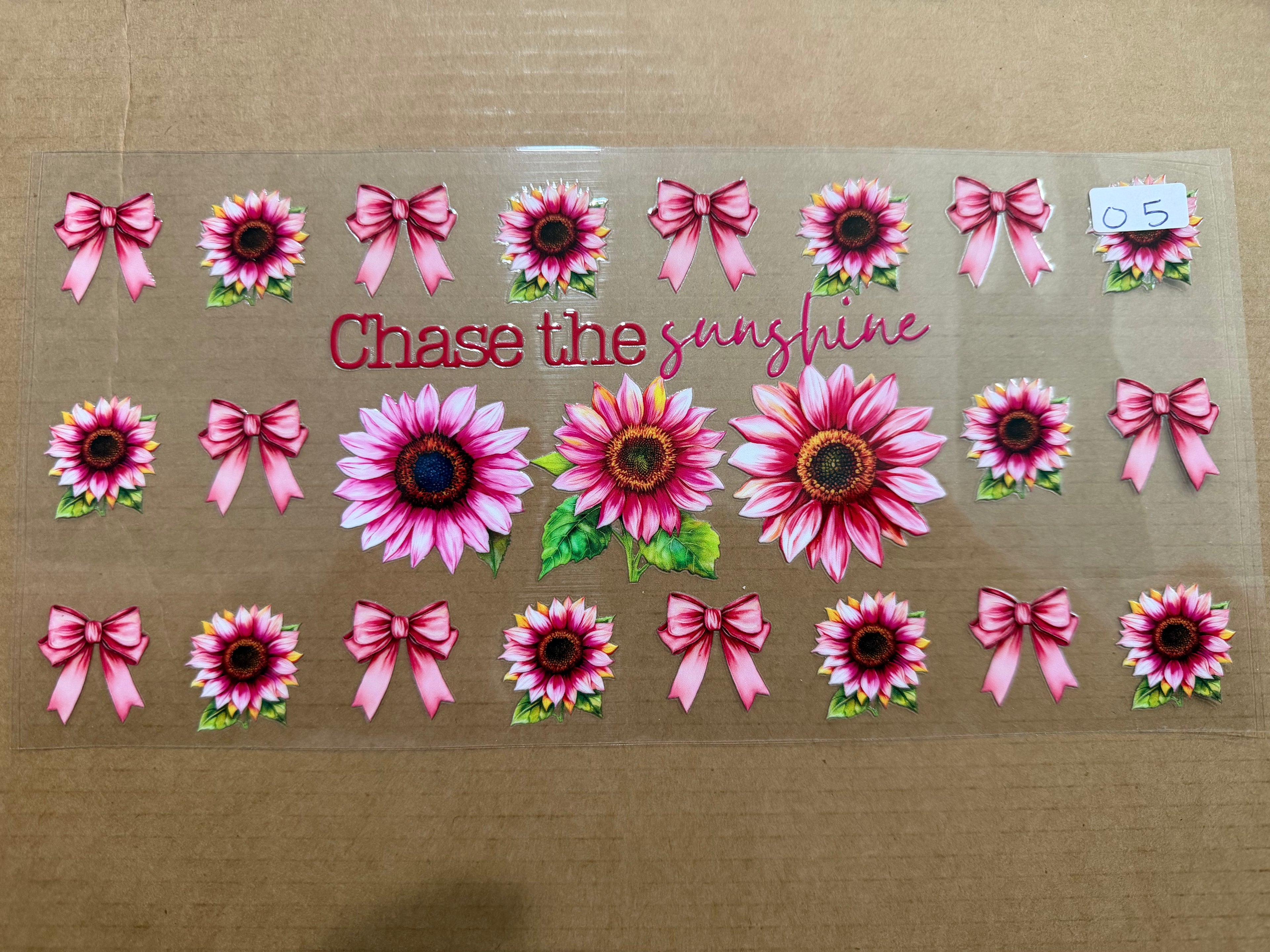 Chase the sunshine