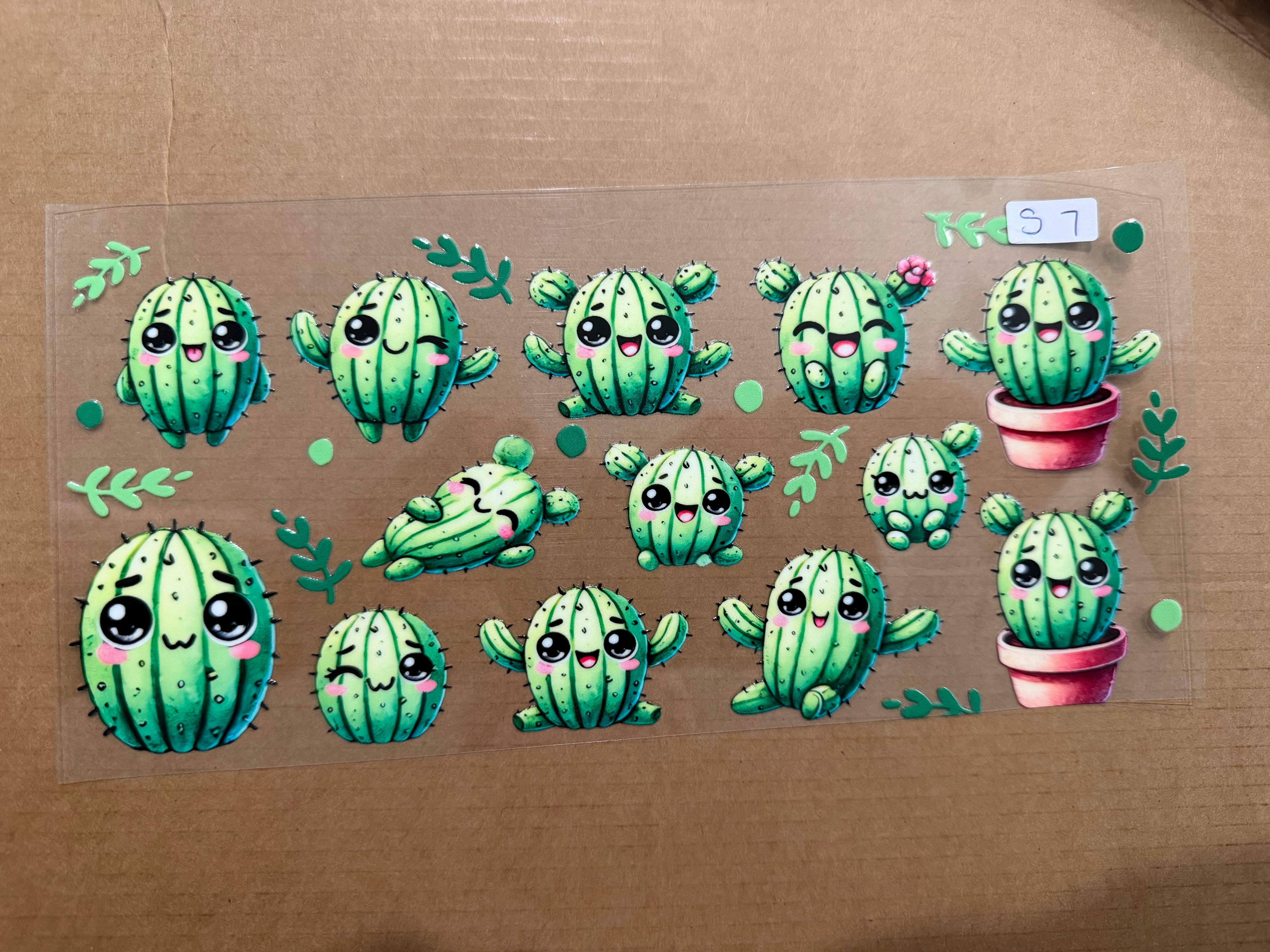 Cactus